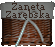 zaneta_zarebska
